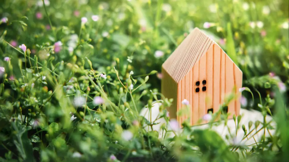 Sustentabilidade Ambiental